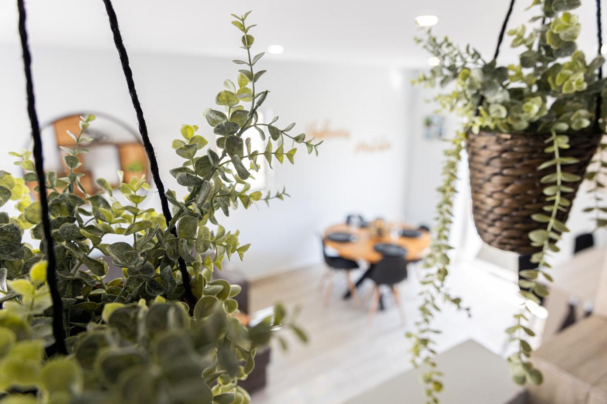 Av Curacao - Centrally Located Spacious Apartment วิลเลมสตัด ภายนอก รูปภาพ